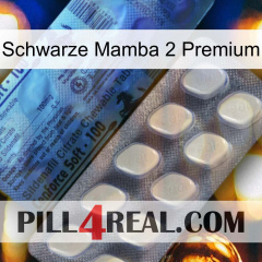 Black Mamba 2 Premium 34